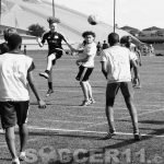 Soccer-11-Ligue-de-soccer-du-Quebec-match-au-stade-olympique