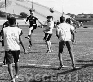 Soccer-11-Ligue-de-soccer-du-Quebec-match-au-stade-olympique